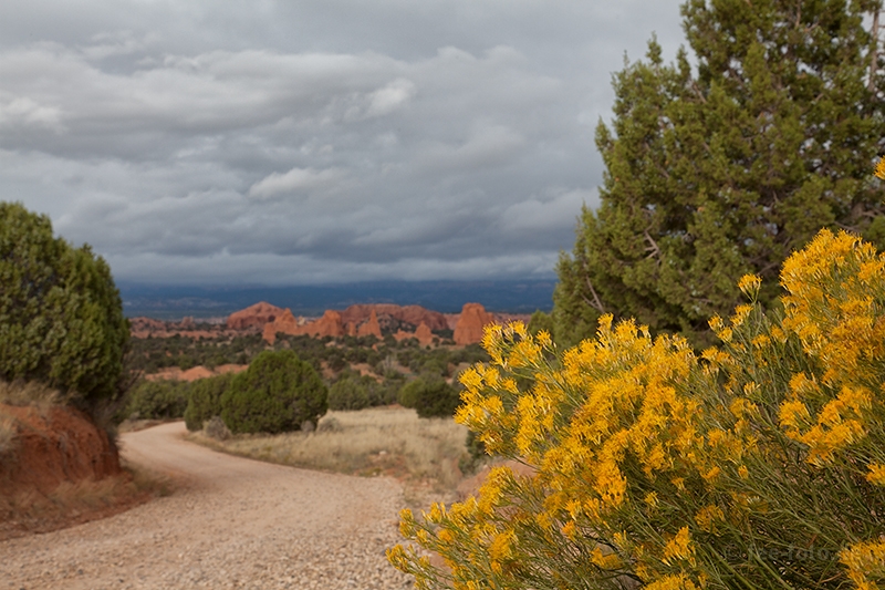 Unterwegs im Kodachrome NP